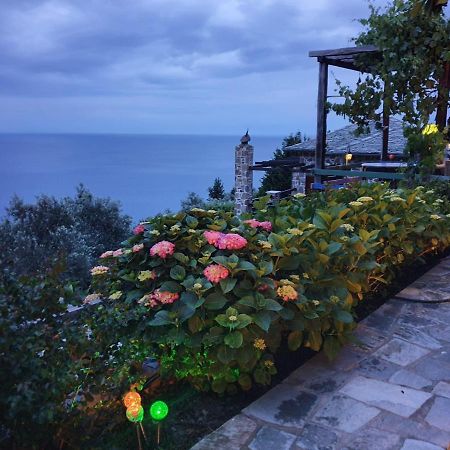 فيلا Analipsi Sea View Hommes زاغورا المظهر الخارجي الصورة